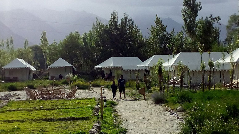 Camps in Ladakh